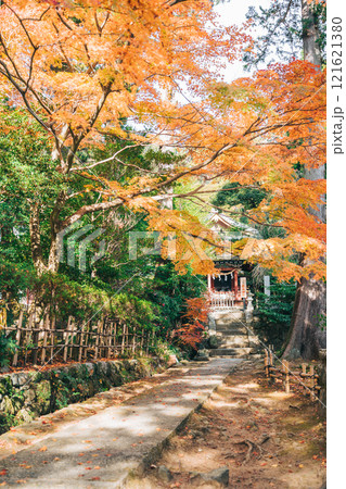 筑波山神社 厳島神社 紅葉 筑波山神社 厳島神社 紅葉 121621380