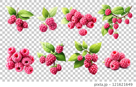 fruit, berry, raspberry 121621649