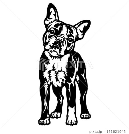 Boston Terrier Dog Breed - Pet Vector Cut file, Dog Silhouette Stencil - Cricut file 121621943