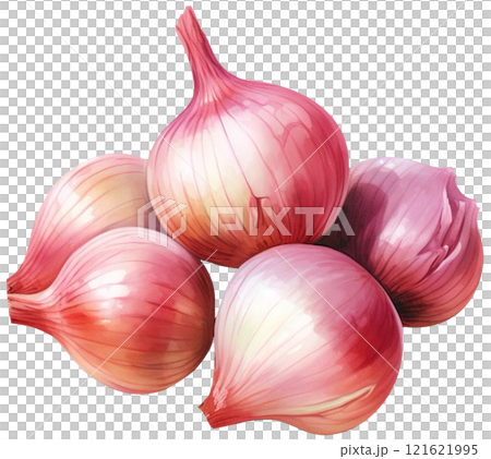 Onion Onion 121621995