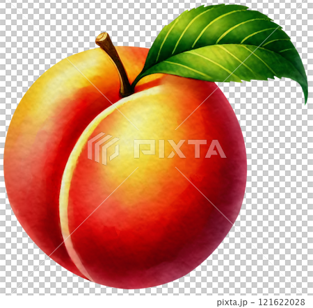 Peach 121622028