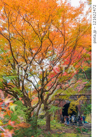 愛岐トンネル群、秋の特別公開〈愛知県春日井市〉 121622472