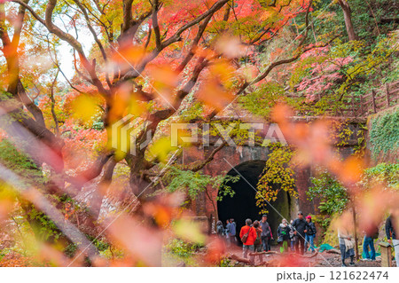愛岐トンネル群、秋の特別公開〈愛知県春日井市〉 121622474