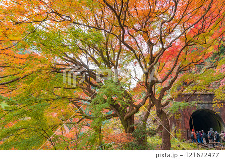 愛岐トンネル群、秋の特別公開〈愛知県春日井市〉 121622477