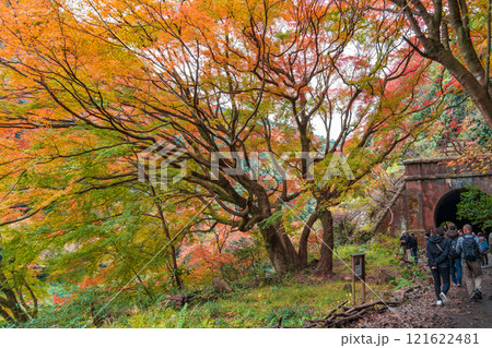 愛岐トンネル群、秋の特別公開〈愛知県春日井市〉 121622481