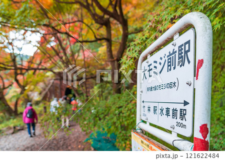 愛岐トンネル群、秋の特別公開〈愛知県春日井市〉 121622484