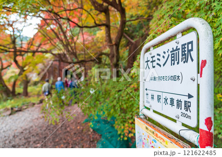 愛岐トンネル群、秋の特別公開〈愛知県春日井市〉 121622485