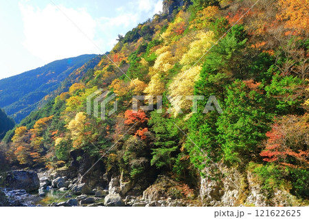 奈良県　川迫川渓谷の紅葉 121622625
