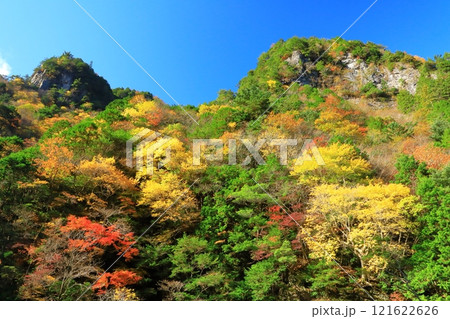奈良県　川迫川渓谷の紅葉 121622626