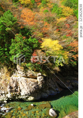 奈良県　川迫川渓谷の紅葉 121622630