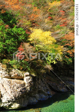 奈良県 川迫川渓谷の紅葉 奈良県 川迫川渓谷の紅葉 121622631