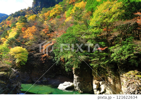 奈良県 川迫川渓谷の紅葉 奈良県 川迫川渓谷の紅葉 121622634