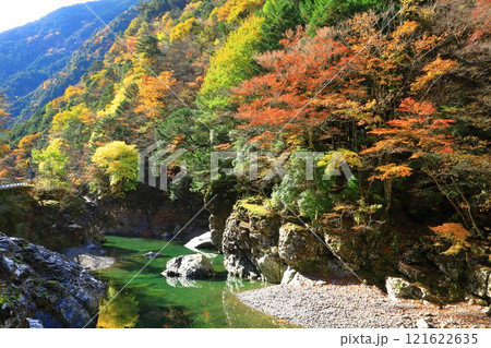 奈良県　川迫川渓谷の紅葉 121622635