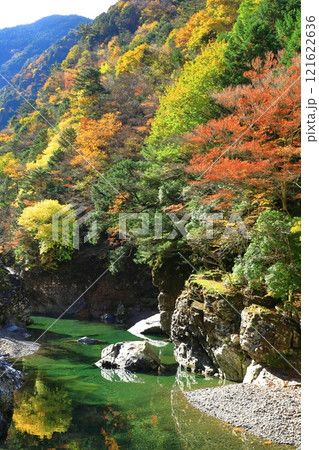 奈良県　川迫川渓谷の紅葉 121622636