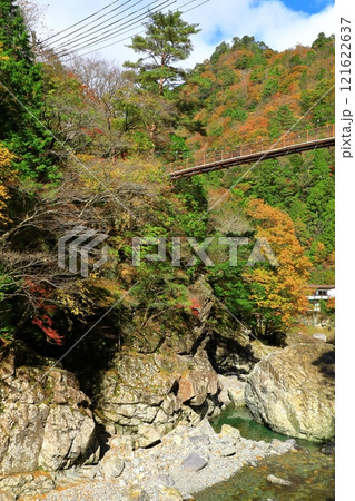 奈良県　川迫川渓谷の紅葉 121622637