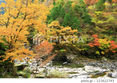 奈良県　天川渓谷の紅葉 121622743