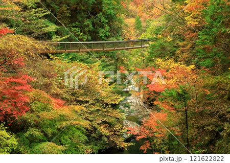 奈良県天川村　みたらい渓谷の紅葉 121622822