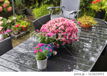 A table with chairs is in a lovely garden full of flowers 121623431