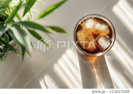 A glass of iced black coffee on white background with plant and clean composition, Minimal style A glass of iced black coffee on white background with plant and clean composition, Minimal style 121623580