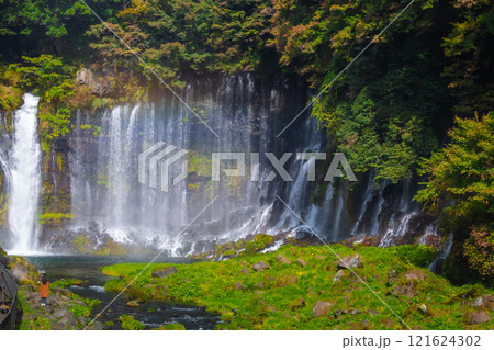 Shiraito Falls is one of the most beautiful waterfalls in Japan. The water flows from the melting snow on Mt. Fuji. It is most beautiful in late November. Shizuoka Prefecture, Japan Shiraito Falls is one of the most beautiful waterfalls in Japan. The water flows from the melting snow on Mt. Fuji. It is most beautiful in late November. Shizuoka Prefecture, Japan 121624302