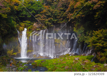Shiraito Falls is one of the most beautiful waterfalls in Japan. The water flows from the melting snow on Mt. Fuji. It is most beautiful in late November. Shizuoka Prefecture, Japan 121624309