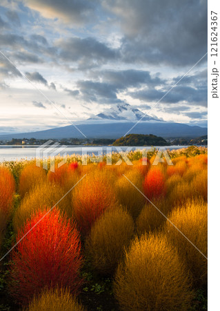 One of the best sunrise spots on Lake Kawaguchiko, with a clear view of Mt. Fuji in the background,Japan 121624367
