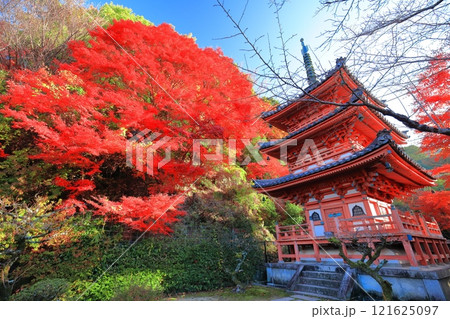 【京都府】快晴の三室戸寺の三重塔と紅葉 121625097