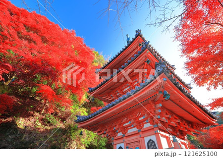 【京都府】快晴の三室戸寺の三重塔と紅葉 121625100