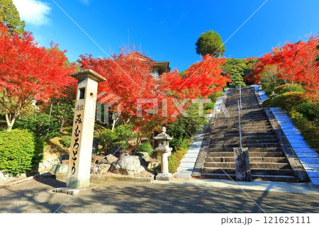 【京都府】快晴の三室戸寺の紅葉 121625111