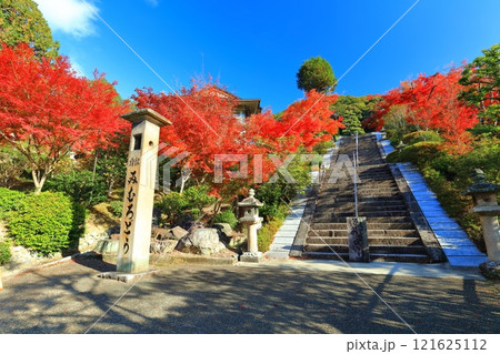 【京都府】快晴の三室戸寺の紅葉 121625112