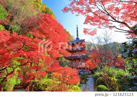 【京都府】快晴の三室戸寺の三重塔と紅葉 121625123