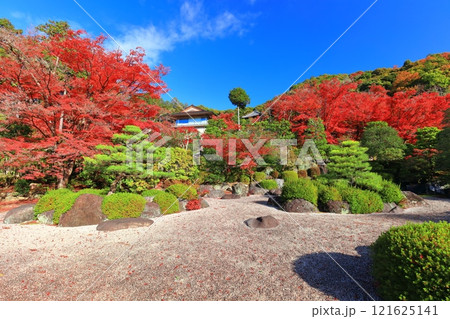 【京都府】快晴の三室戸寺の石庭と紅葉 121625141