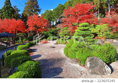【京都府】快晴の三室戸寺の石庭と紅葉 【京都府】快晴の三室戸寺の石庭と紅葉 121625145
