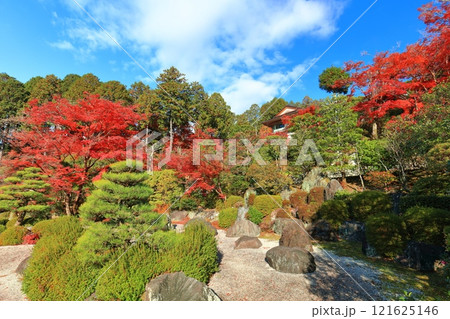 【京都府】快晴の三室戸寺の紅葉 121625146