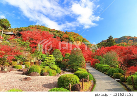 【京都府】快晴の三室戸寺の紅葉 121625153
