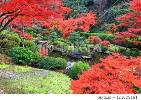 【京都府】快晴の三室戸寺の紅葉 【京都府】快晴の三室戸寺の紅葉 121625161