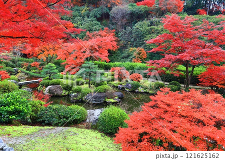 【京都府】快晴の三室戸寺の紅葉 121625162