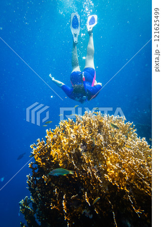 Woman snorkeling in clear water over vivid coral reef Woman snorkeling in clear water over vivid coral reef 121625499
