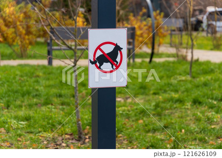 In a sunny outdoor park setting, a clear warning sign stands tall, depicting a dog inside a red prohibition circle In a sunny outdoor park setting, a clear warning sign stands tall, depicting a dog inside a red prohibition circle 121626109