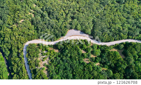 Winding road snaking through lush green forest landscape Winding road snaking through lush green forest landscape 121626708