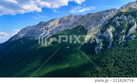 Majestic mountain range casting shadows on lush green forest Majestic mountain range casting shadows on lush green forest 121626714