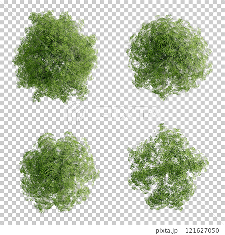 tree top view plant landscape architecture nature garden aerial render. trees branch isolate collection illustration environment green botany urban bush park. tree architecture conifer decorative. 121627050