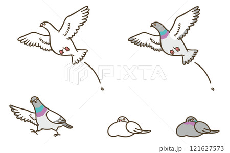 いろんなハト 121627573
