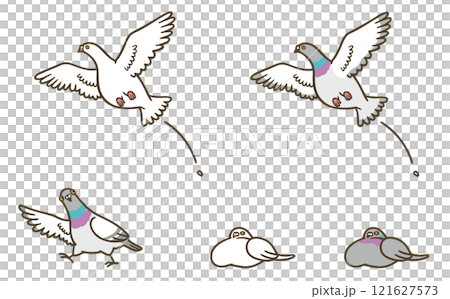 各種鴿子 121627573