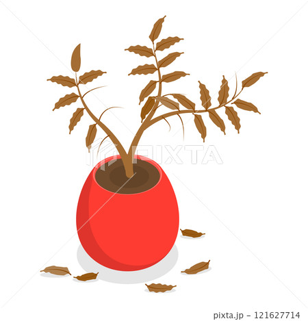 3D Isometric Flat Vector Set of Withered Houseplants In Pots, Fading Indoor Plants. Item 2 3D Isometric Flat Vector Set of Withered Houseplants In Pots, Fading Indoor Plants. Item 2 121627714