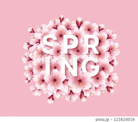 Hello Spring Text Surrounded by Cherry Blossom Flowers on a Pink Background 121628019