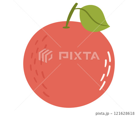 Fruit grapefruit in cartoon hand drawn simple style. Editable variable color 121628618