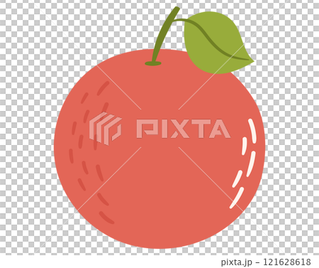 Fruit grapefruit in cartoon hand drawn simple style. Editable variable color 121628618