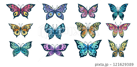 Hand drawn butterfly. Flower butterflies, moth wings and spring colorful flying insect. Drawing flying papillon butterfly isolated vector collection on white background 121629389