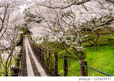 琴海中央公園の桜【長崎市】 121629537